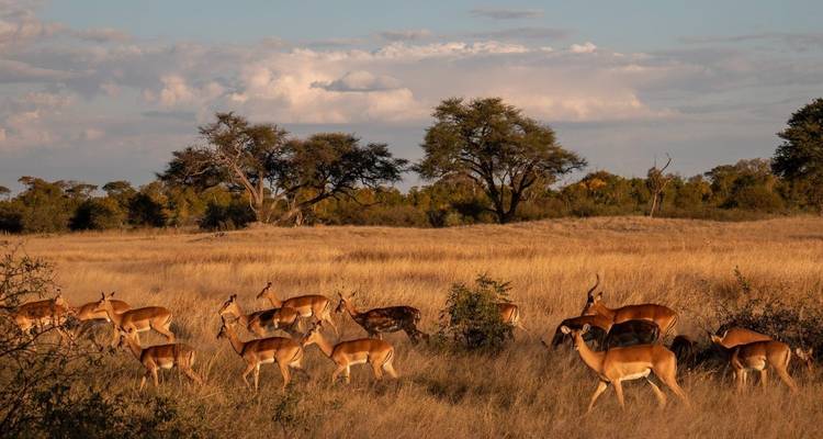 Expérience au Mozambique - 12 jours/11 nuits (Confort) - Across Africa Tours & Travel 8