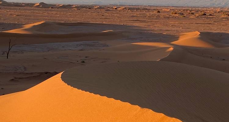 Trekking au Sahara - 6 jours ( promenade avec les nomades et les chameaux) - SAHARA EYES 4