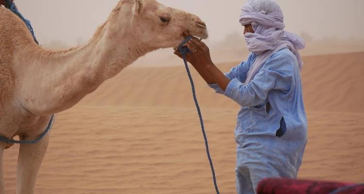 Trekking au Sahara - 6 jours ( promenade avec les nomades et les chameaux) - SAHARA EYES 6