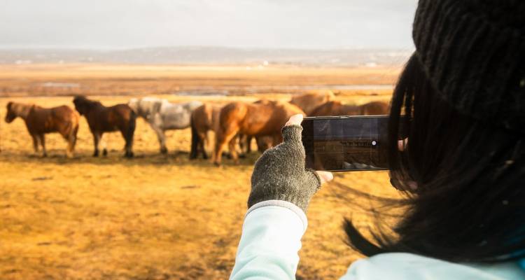 Persona tomando una foto de caballos en Islandia.