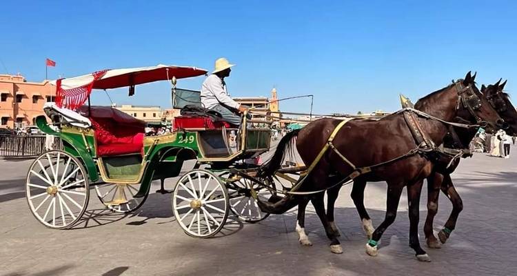 Circuit de 7 jours au Maroc depuis Tanger - Morocco Top Adventures 2