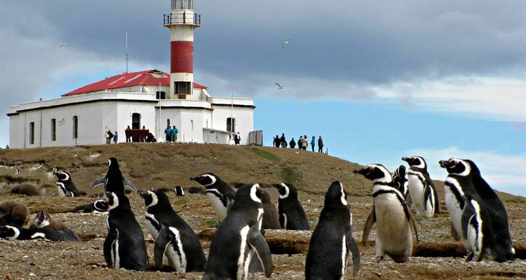 Close-up view of penguins near a lighthouse.