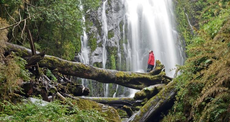 Personne en veste rouge debout sur un tronc d'arbre près d'une cascade dans une forêt.