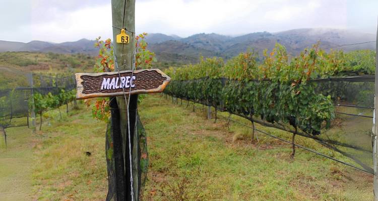 4 Days Wine & Andes Adventure in Mendoza - Responsible Travel South America 2