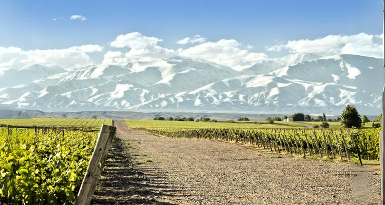 4 Days Wine & Andes Adventure in Mendoza - Responsible Travel South America 8