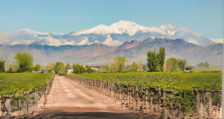4 Days Wine & Andes Adventure in Mendoza - Responsible Travel South America 9