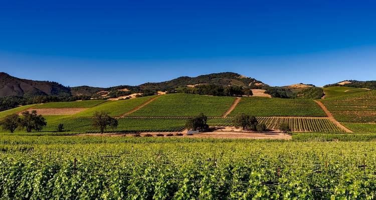 Le meilleur de la Californie - classique, 9 jours - Insight Vacations 2