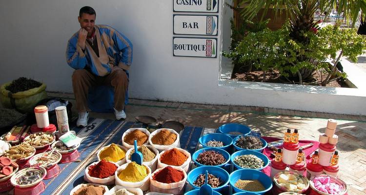 Voyage de 12 jours de culture, de côtes et de couleurs au départ d'Agadir - Morocco Social Impact Travels 1