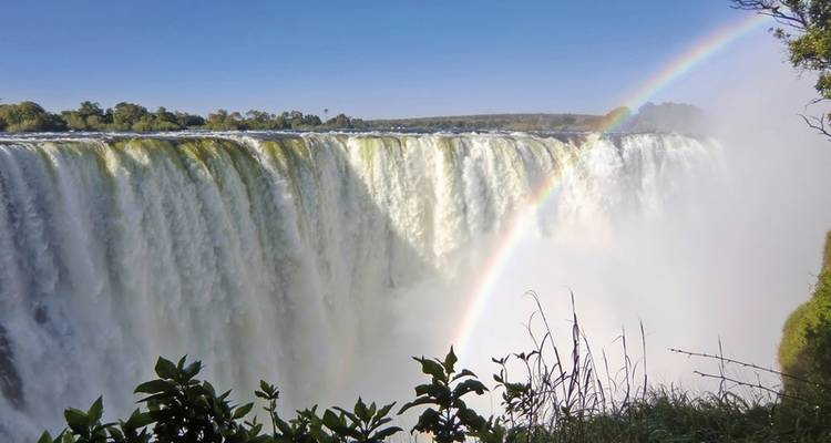 Aventura en las cataratas Victoria y Safari desde/hasta las cataratas Victoria - MEIERS WELTREISEN 5