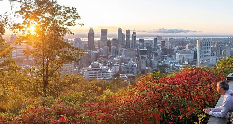 Zonsopgang boven de skyline van Montreal gezien vanaf Mount Royal met herfstbladeren op de voorgrond.