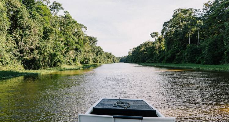 Explorando Costa Rica de la selva a la playa - Localista 4