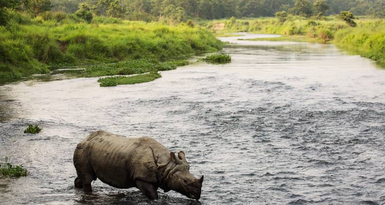 Instantánea de Nepal en 7 días - One Life Adventures - One Life Adventures 8