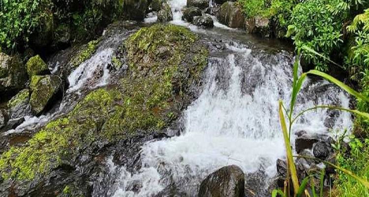 MEILLEUR SAFARI PARTAGÉ EN TANZANIE ET AVENTURES À LA SOURCE DE KIKULETWA - Kilingeadventures 4