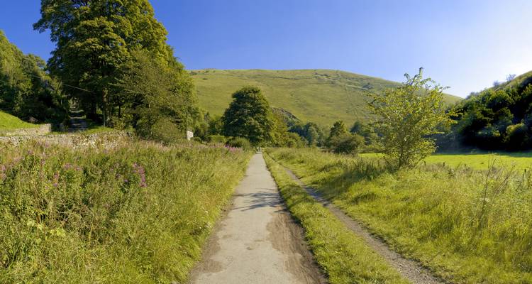 Ein malerischer Weg durch üppige Landschaft mit Hügeln im Hintergrund.