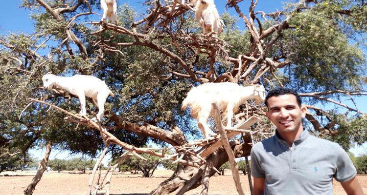 14-Day Genuine Morocco Expedition ( Private 4* Hotels) - Best Tours Morocco 8
