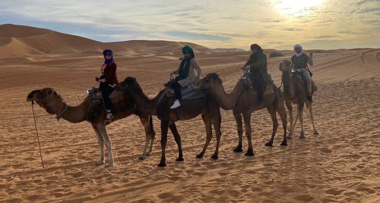 Four people riding camels in the desert during sunset.