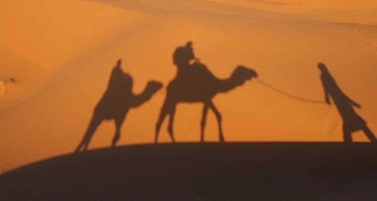 Silhouetted camel and handler walking across sand dunes at sunset.