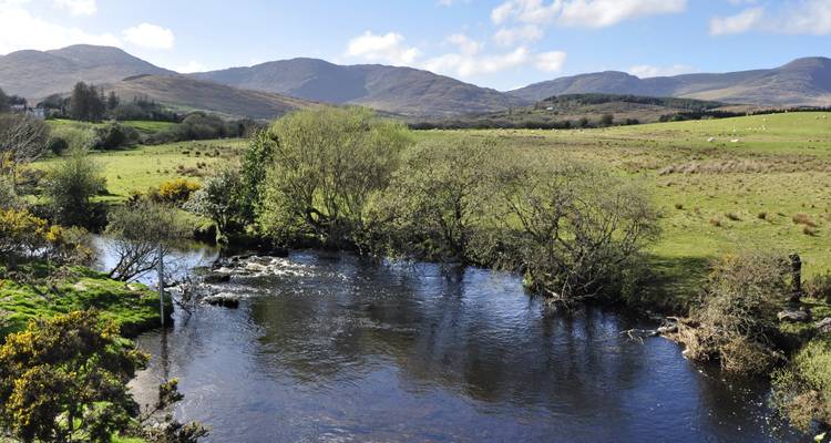 Riverscape with green fields and mountains in the background.