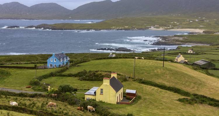 Coastal landscape with scattered cottages and grazing animals.