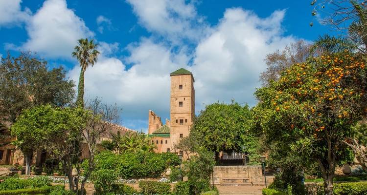 Circuit de luxe privé dans les villes impériales et le désert du Marocau départ de Casablanca - 13 jours - My Morocco Tours 1