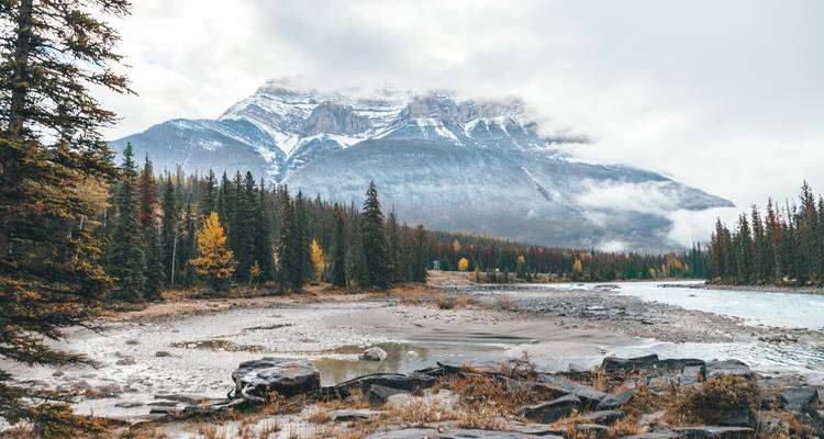 Berge de rivière avec des arbres aux couleurs automnales et un arrière-plan montagneux.
