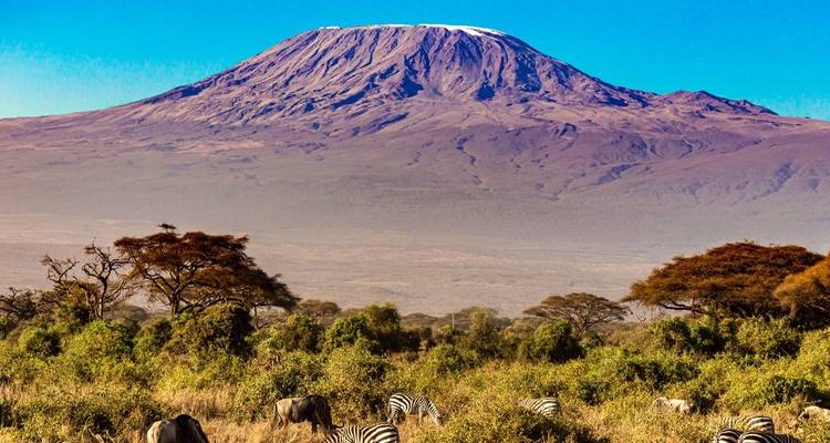 Les Plaines d'Afrique - Safari au Kenya (de Nairobi à Amboseli) - Collette 2