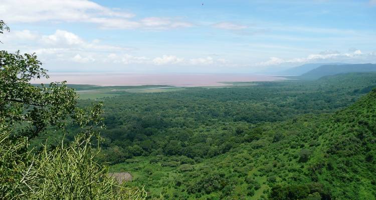 Malerische Aussicht auf eine weite Grünlandschaft mit Gewässern.