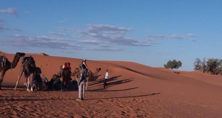 Circuit dans le désert du Sahara - 4 jours - CHECK INN MOROCCO 6