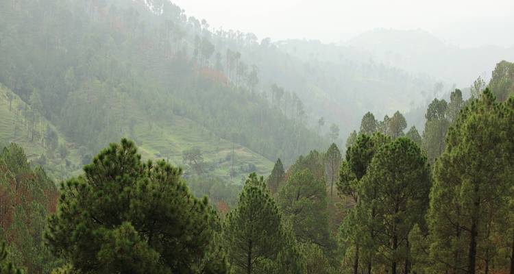 Excursión al Valle de Shogran - Gypsy Traces and Tours 1