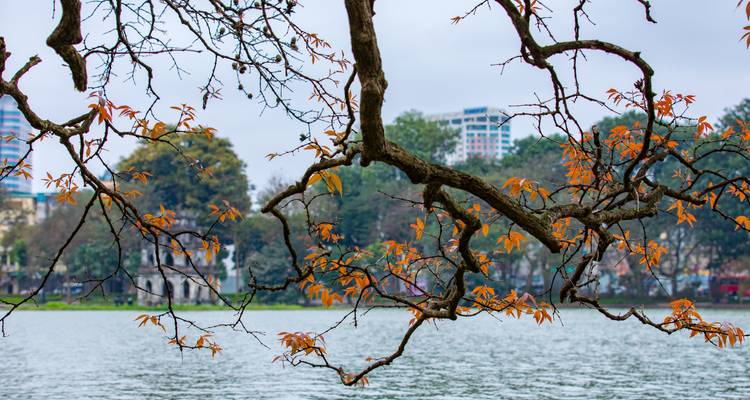 Nord du Vietnam - 5 jours - STM Tours LLC 8