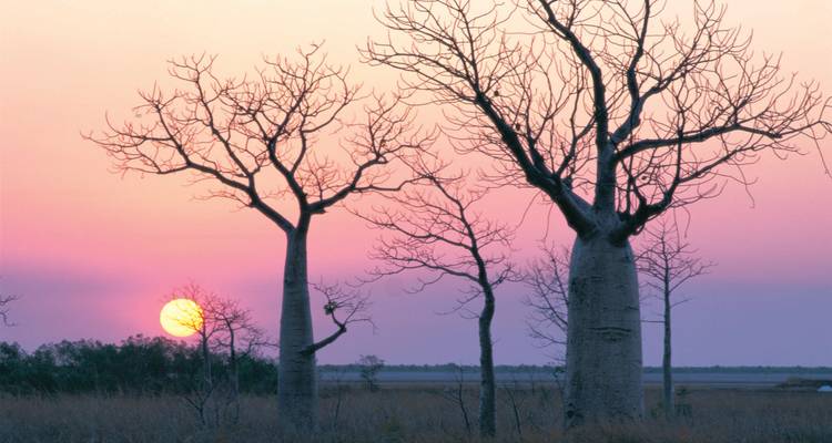 Perth to Darwin Overland - WA NT TOURS 4