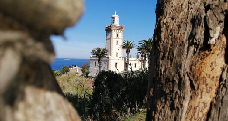 11 días De los callejones azules a las arenas del desierto - Un viaje a través de la cultura y los paisajes - Morocco Social Impact Travels 1