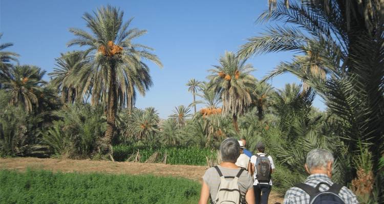 12-Day Journey From Tangier's Gateway to Marrakech's Magic - Morocco Social Impact Travels 2