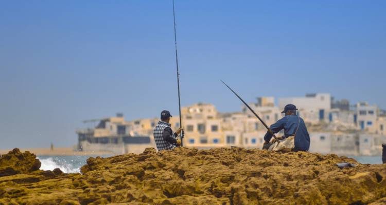 12-Day Journey From Tangier's Gateway to Marrakech's Magic - Morocco Social Impact Travels 3