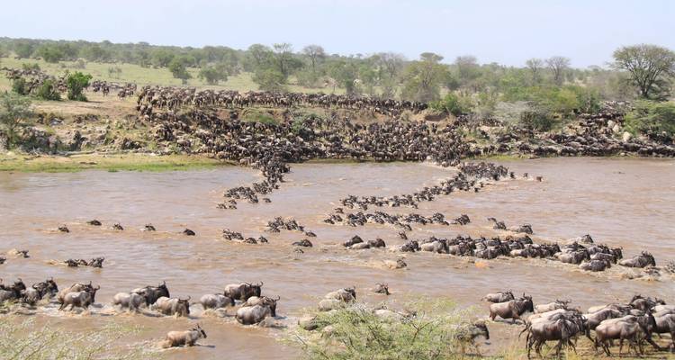 Safari de lujo de 5 días por el norte de Tanzania - Lights on Africa Destinations & Safaris 9