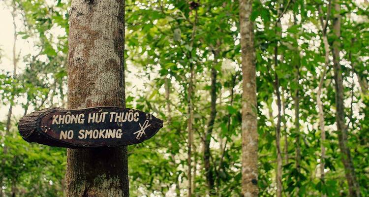 10 Days Vietnam Food Tasting and Beach Relax Tour - STM Tours LLC 1