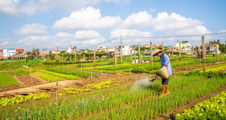 10 Days Vietnam Food Tasting and Beach Relax Tour - STM Tours LLC 3