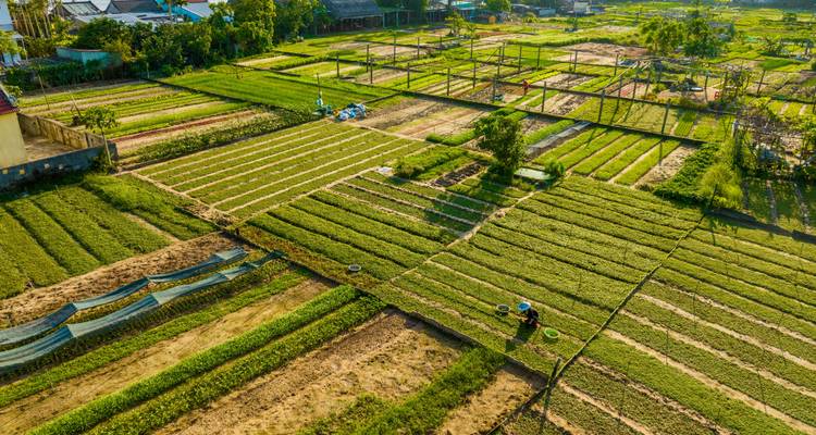 10 Days Vietnam Food Tasting and Beach Relax Tour - STM Tours LLC 6
