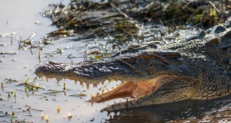 Broome to Darwin Overland - WA NT TOURS 1