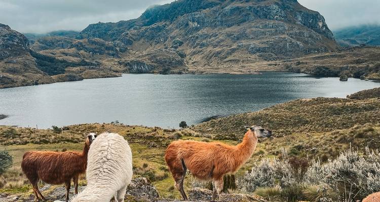 10 Days Andes and Pacific Coast Small Group Tour for Gay Travelers - Responsible Travel South America 4