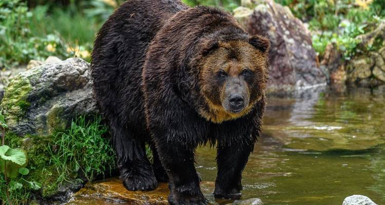 Viaje de observación de la naturaleza, la cultura y la fauna en 4 estaciones - DIAMIR Erlebnisreisen 9