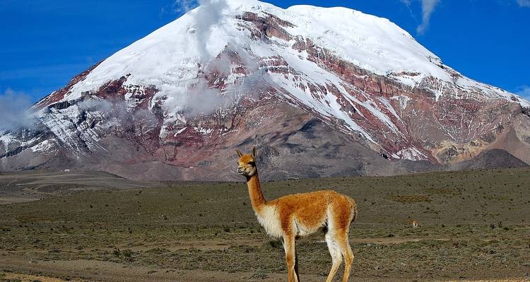 14 Days Cultural Tour for Gay Travelers - Responsible Travel South America 3