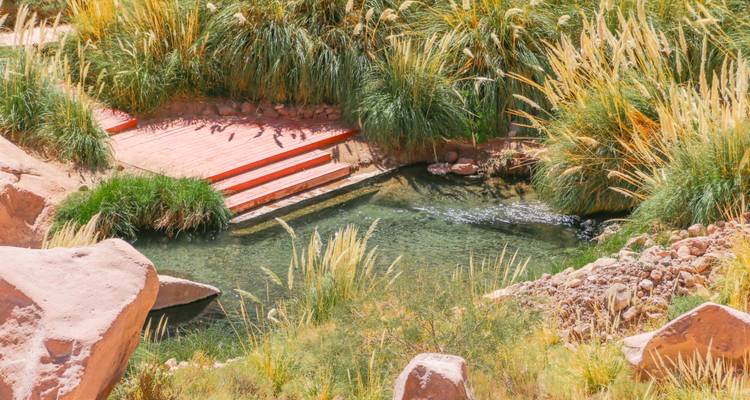 Adventure Chile: Colorful Cities & Endless Atacama - journaway 9