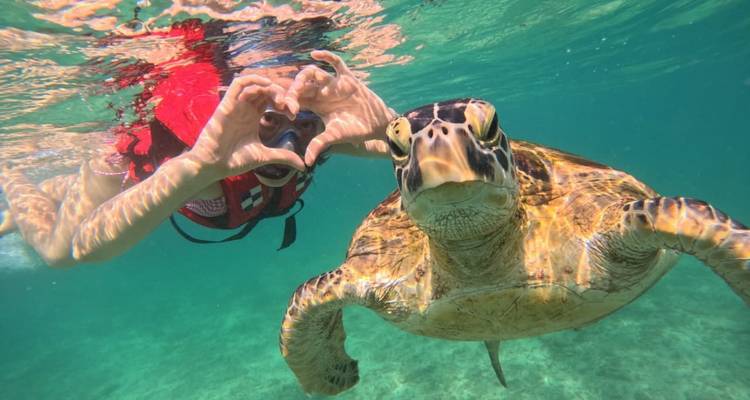Une personne qui fait du snorkeling forme un coeur avec ses mains à côté d'une tortue marine curieuse dans une eau turquoise cristalline.