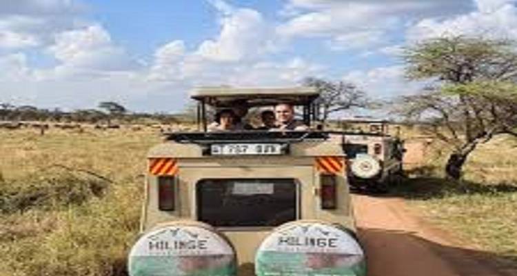 Mejor Safari de 7 Días en Tanzania por la Migración de los Ñus del Serengeti - Kilingeadventures 2