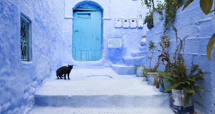 Marruecos privado 8 días - Perfectly Morocco Tours 2