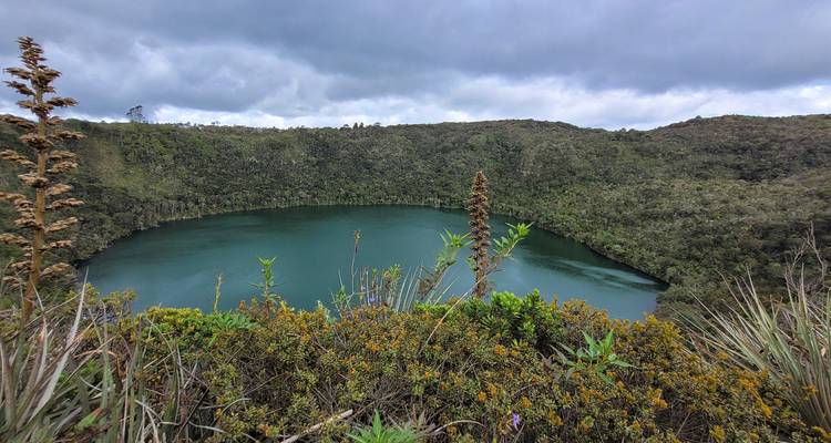 Amazonia Mística: Un Viaje de 7 Días por el Paraíso Verde - Responsible Travel South America 2