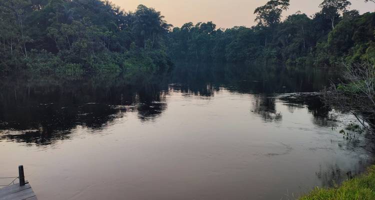 Aventura de 7 días remando en la Reserva de Fauna Cuyabeno - Responsible Travel South America 1