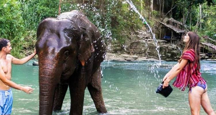 People interacting with an elephant in a river.