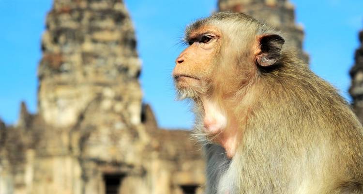 12 Days Thailand Historical,Cultural and Natural Tour (private guide & driver） - UME Travel Co. Ltd 10